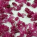 Pink Fused Aluminum Oxide (PFA) 